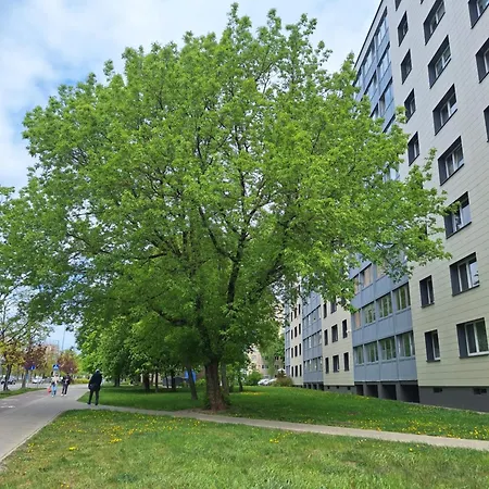 Rinktines Apartments Vilnius Exterior photo