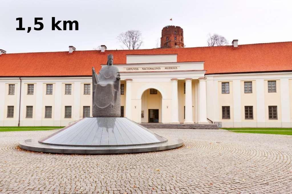 Rinktines Huoneisto Vilna